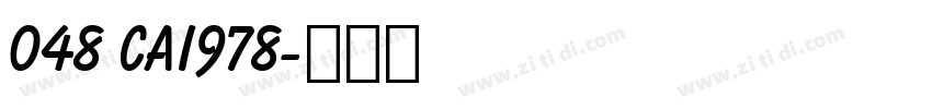 048 CAI978字体转换
